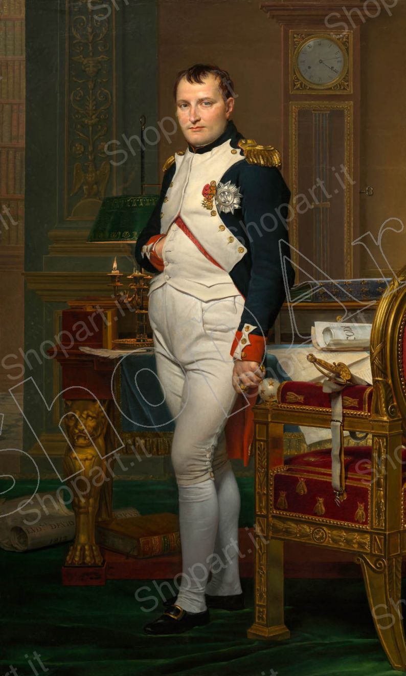NAPOLEONE. IL MITO